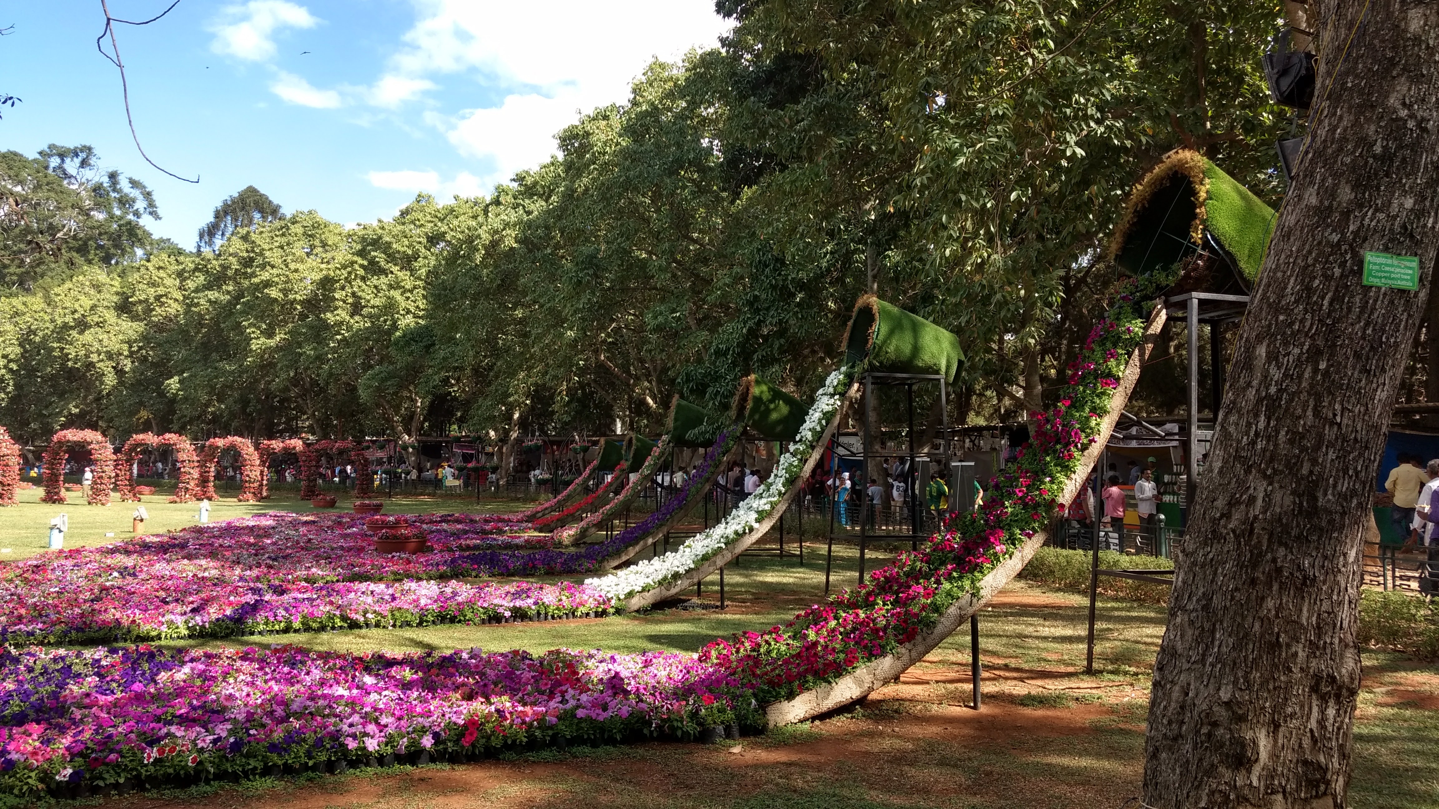 Lalbagh Botanical Garden